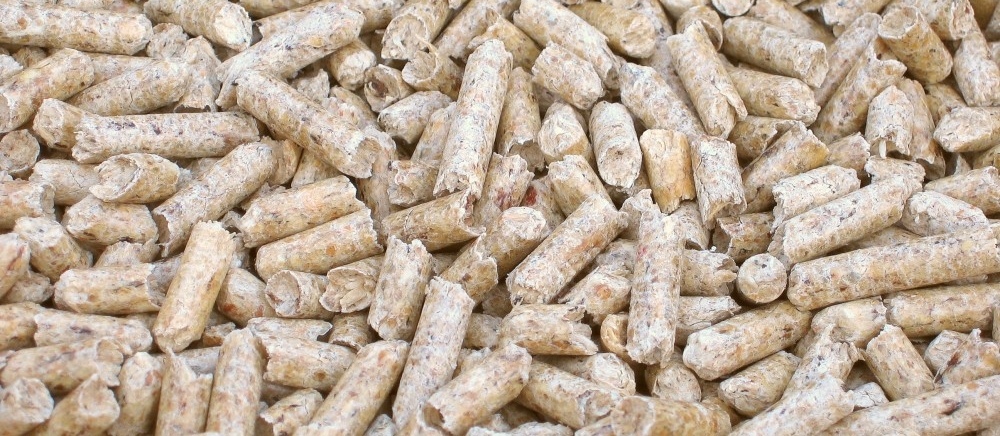 Biomass
