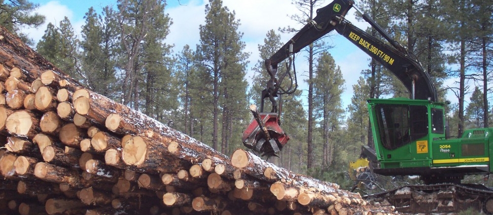Forestry
